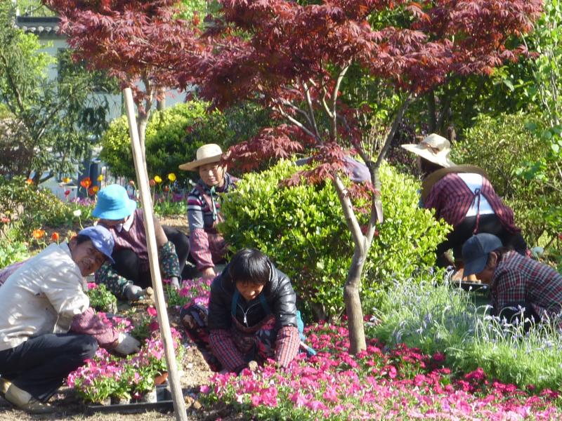 nos jardins