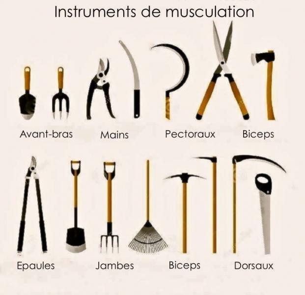 les outils de jardin