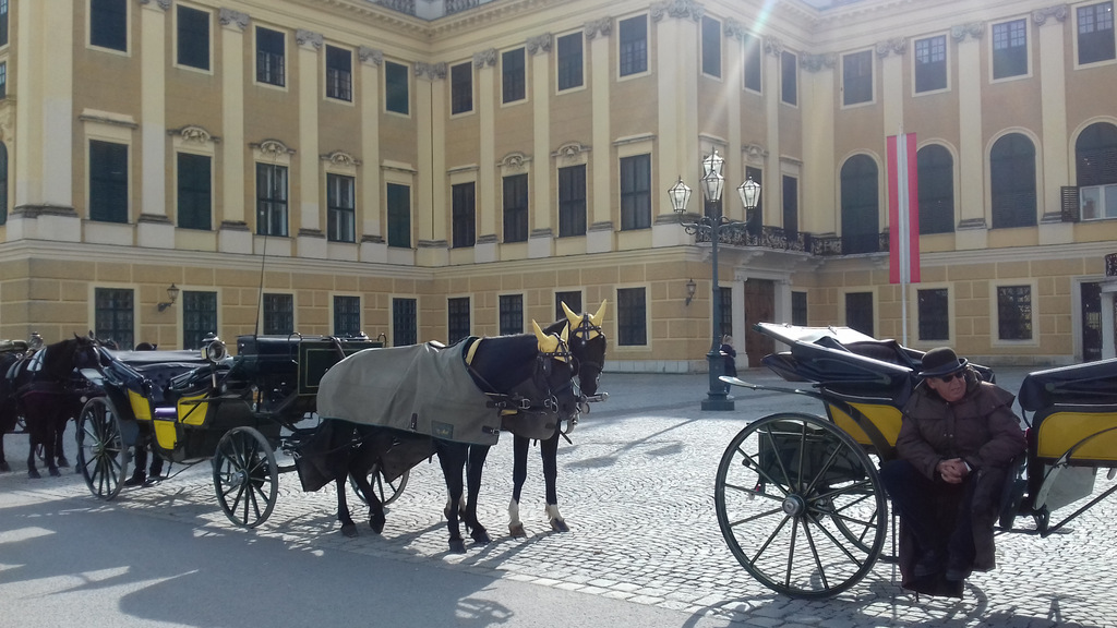 calèches musées jardins