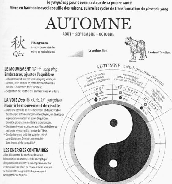 yin yang automnal