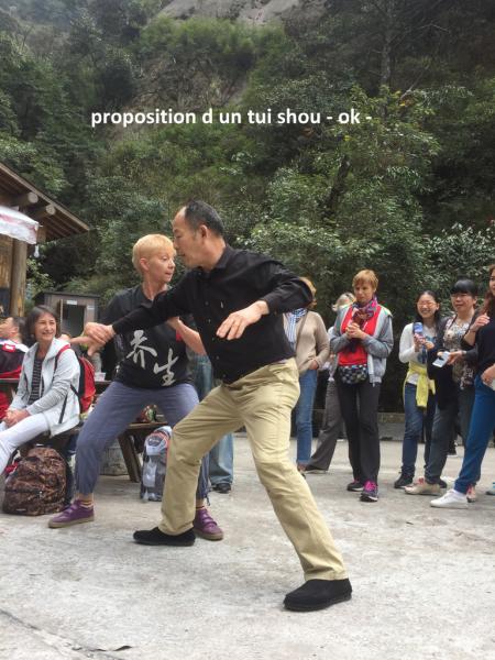 tui shou 1