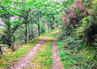 ballade en forêt